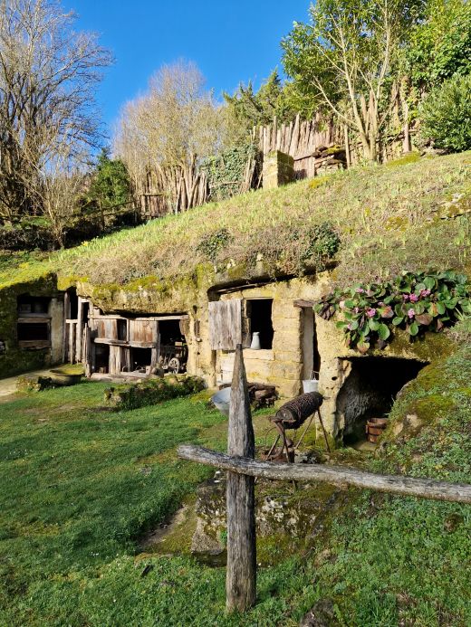 20260217 101412 resized