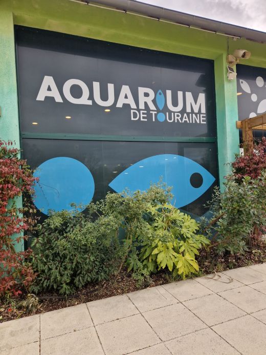 20260217 135243 resized