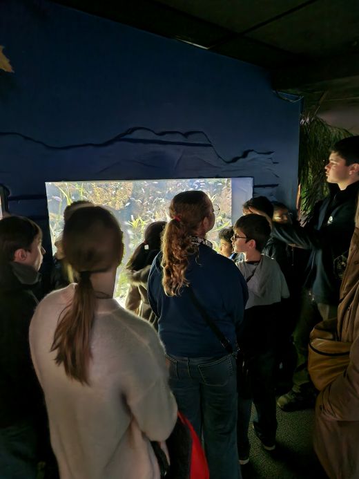 20260217 144427 resized