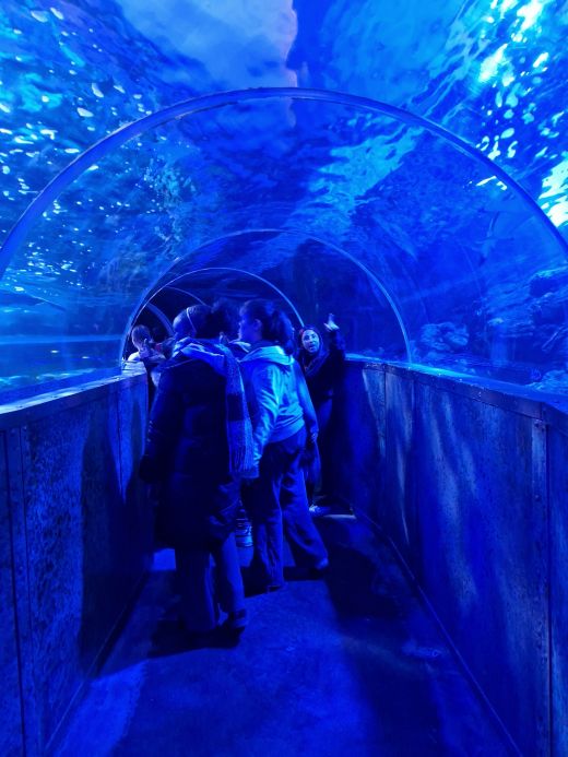 20260217 151457 resized